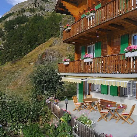 Kolibri Lejlighed Zermatt