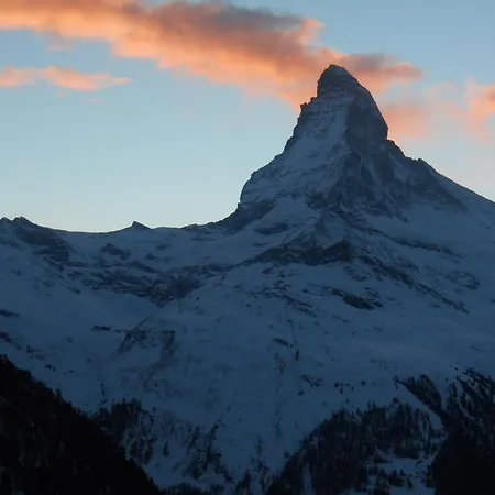 Kolibri * 체르마트